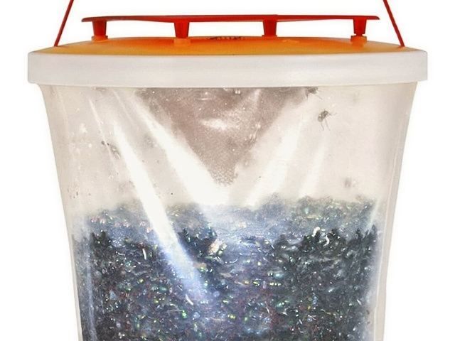 insect-treatment-services-9-kireth-ai