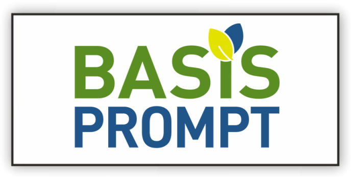 basis