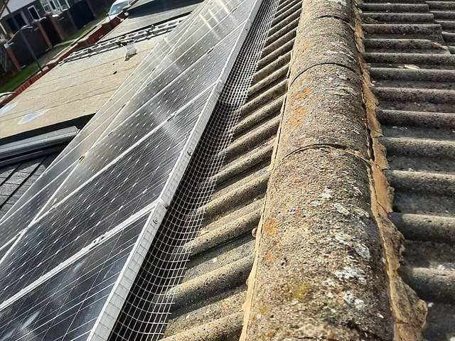 solar-panel-bird-proofing-services-11-kireth-ai