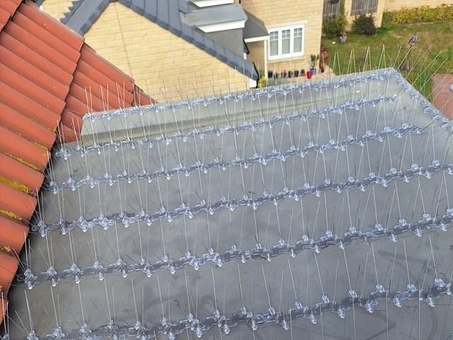 bird-proofing-services-4-kireth-ai