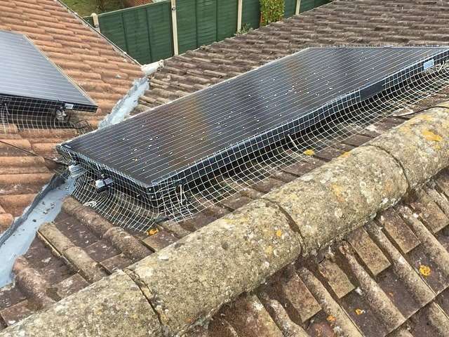 solar-panel-bird-proofing-services-10-kireth-ai