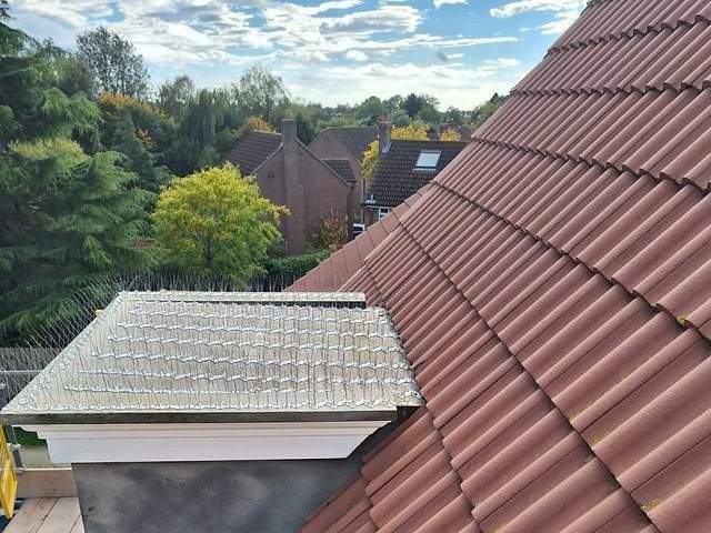 bird-proofing-services-8-kireth-ai