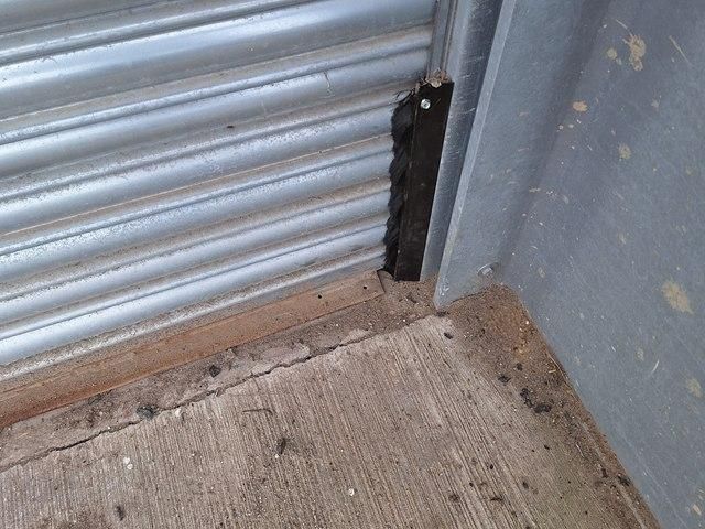 rodent-control-services-2-kireth-ai