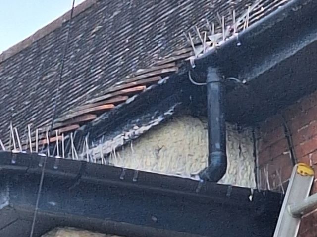 bird-proofing-services-6-kireth-ai